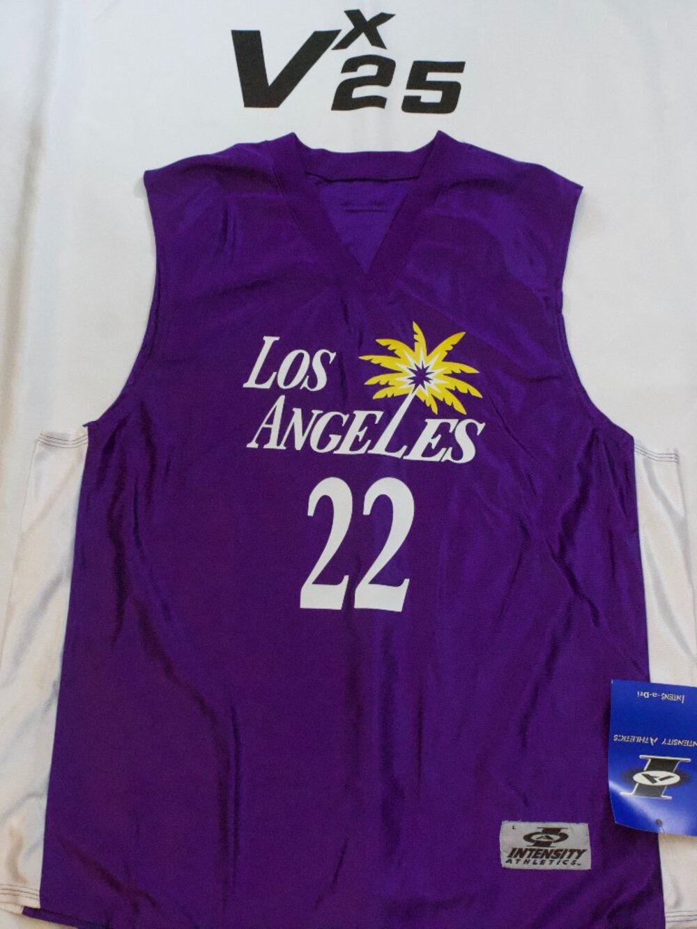 NEW Men's Cameron Brink Sparks Purple Home Jersey Size Large